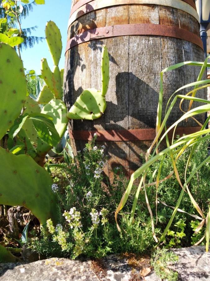 La Borieta Hébergement de vacances Labastide-de-Penne